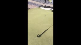 Crazy Golf