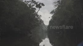 Cruising in a boat down the Kinabatangan River at sunset in the rain, in the forest.