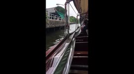 Drowning dog rescued from canal by passing ferry boat