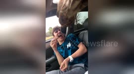 Teen freaks out during his first ever zoo trip