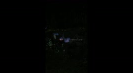 Blue flame from Methane
