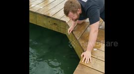 Man catches huge fish with bare hands!!