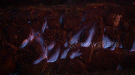 Methane gas burning through rock wall surrounding a residence of Leilani Estates. Puna, Hawaii.