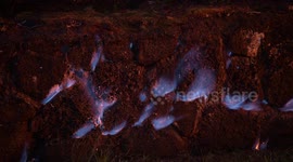 Blue flames from burning methane seen near Hawaii's Kilauea volcano