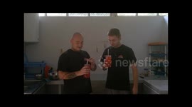 Brain Freeze Bulgaria Fails.. part 1 and 2