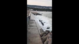 Crashing waves in a sea light