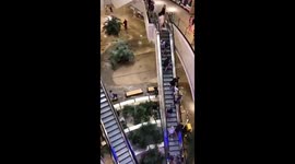 Massive flash flood hits German city of Wuppertal