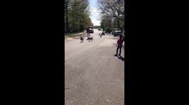 Power wheeling gone wrong