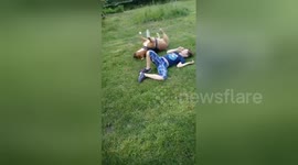 They're inseparable! Boy and his dog mimic each other by rolling in the grass