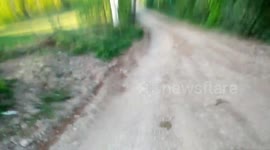 Downhill bike Serbia-Rajac Mauntain