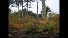 South of Chile