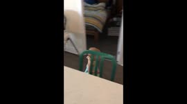Infant twins talking to each other