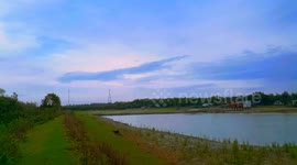 Awesome Nature