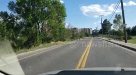 Ducks on my drive. Sure, I will stop