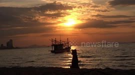 A dog relaxing on a beach watching the sunset.