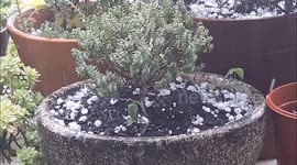 Gros orage de grêle sur Toulouse ce 2 juin 2018 / Strong hail-storm in Toulouse