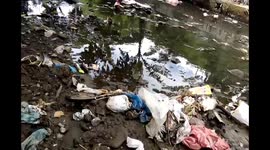 plastic and garbage in drainage system