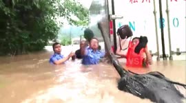 Runaway ostrich hampers police rescue of passengers in flooded lorry