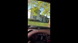 Grey the Huskie found on roof of house
