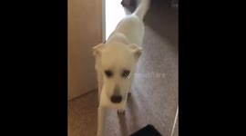 Ghost bringing me toiletpaper.