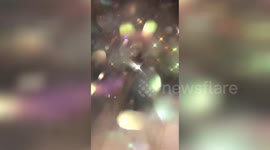 Incredible visual effect after girl sprays glitter at camera