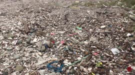 Beach of plastic waste and volunteer clean-up team, Manila Bay, Philippines.