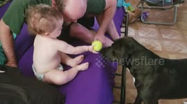 This is what friendship looks like between a dog and a baby