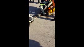Python forced to spit out pet cat in South Africa