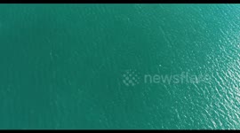 Shelly Beach, Waiheke Island drone 4k