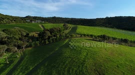 vineyard waiheke island drone