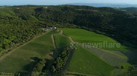 Incredible shot in 4k of a vineyard in waiheke island