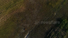 zenital shot of a vineyard in waiheke island 4k drone