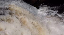 First Atlantic Salmon begin annual migration to spawning grounds in Scotland