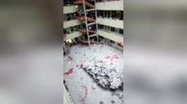 Hundreds of high school students shred books to confetti