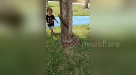 Little boy plays 'chase' with squirrel around tree