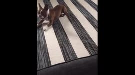 Finn showing off for the new girl