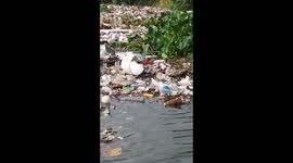 contaminated river