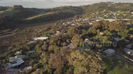 Waiheke Island - Inside island