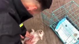 Firemen rescue pets from burning store