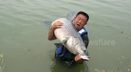Sport fishing master in China catches giant black carp