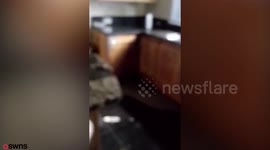 Family left living out of a suitcase after flood ruins their home