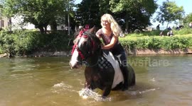 Horses get washed in the River Eden at the Appleby Fair