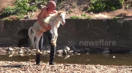 Young foal is terrified to go in to the water at Appleby Fair