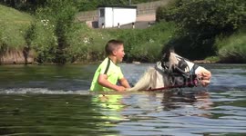 Horse and young rider swim in the River Eden at the Appleby Fair
