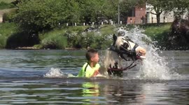 Young riders horse rears up in the river at the Appleby Fair