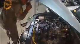 King Cobra leaps into freedom after being caught in car engine
