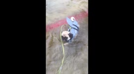 Warning: sharks in water!