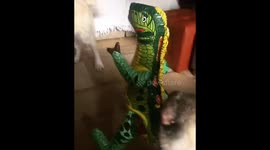 Good guard dog