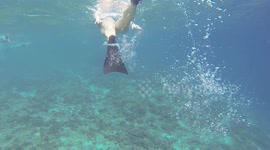 People diving ocean
