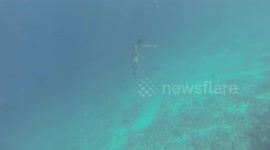 Man in the ocean diving